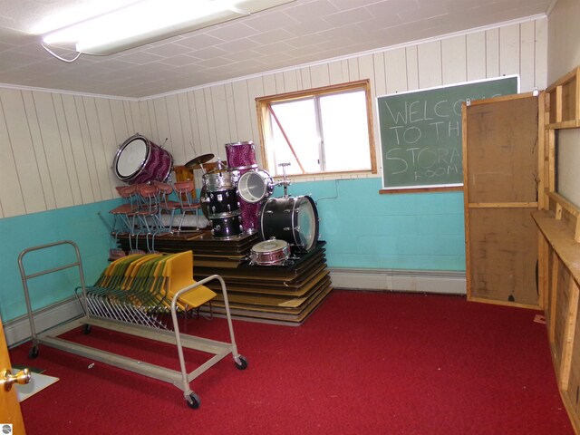 misc room featuring carpet flooring and wooden walls