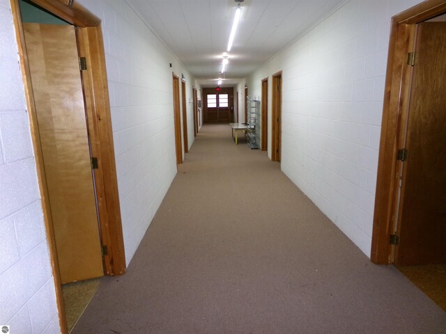 hallway with light colored carpet