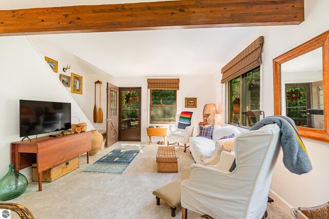 living room featuring carpet flooring