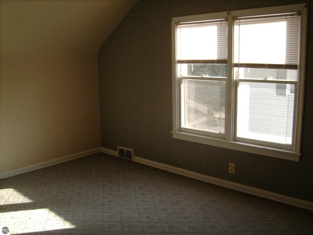 413 N Fancher St, Mount Pleasant, MI 48858 - additional living space featuring vaulted ceiling, baseboards, visible vents, and carpet floors