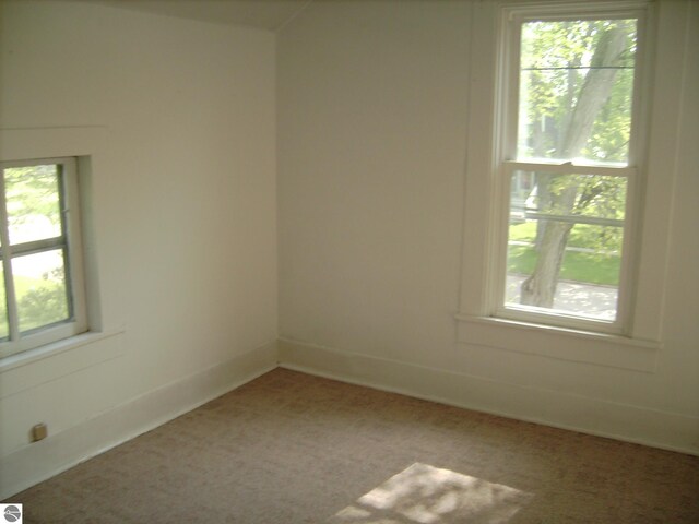 413 N Fancher St, Mount Pleasant, MI 48858 - carpeted spare room with a healthy amount of sunlight and baseboards