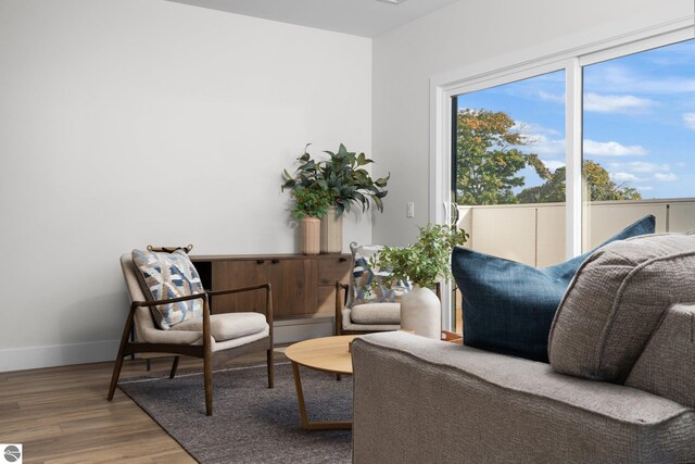 interior space featuring hardwood / wood-style floors