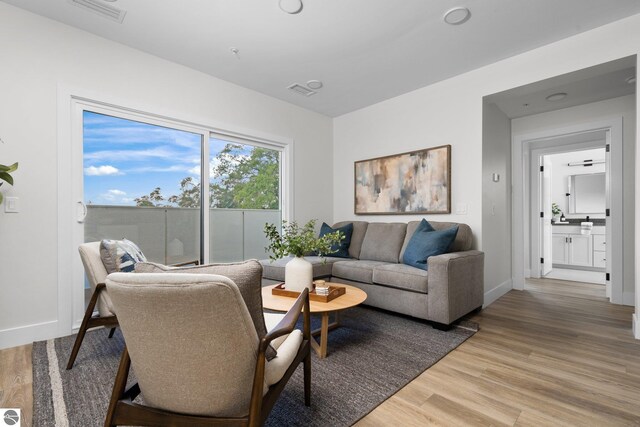 living room featuring wood-type flooring