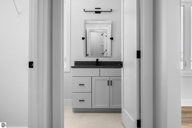 bathroom with wood-type flooring and vanity