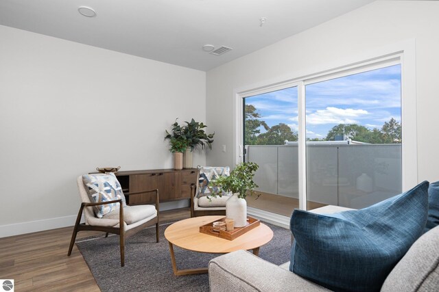 living room featuring wood-type flooring