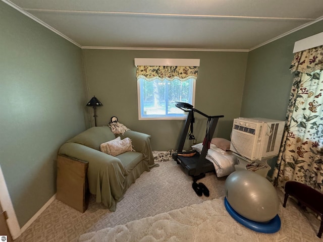 workout area with crown molding and carpet flooring