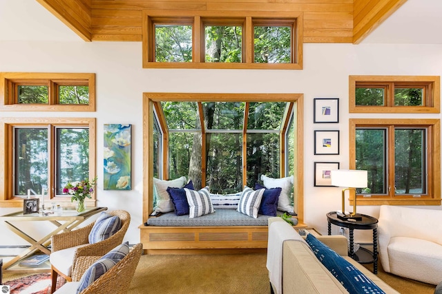 carpeted living room featuring a towering ceiling and a healthy amount of sunlight