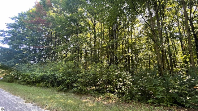 LOT466 Northwood Dr, Elmira MI, 49730 land for sale