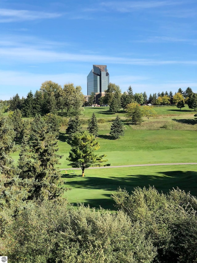 view of home's community with a lawn