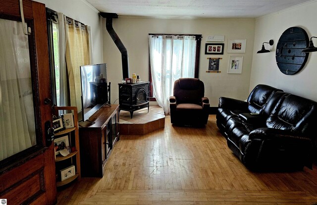 living room featuring light hardwood / wood-style flooring and a wood stove