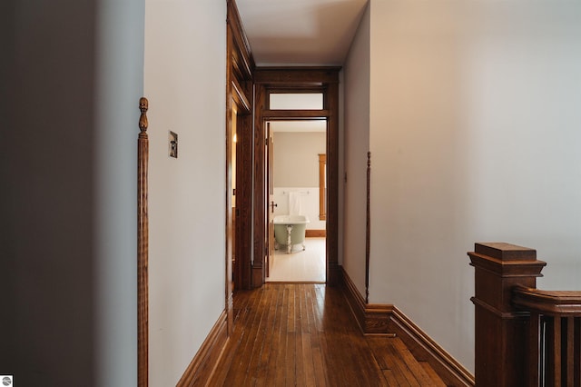 hall with dark wood-type flooring