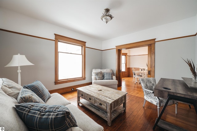 living room with dark hardwood / wood-style flooring