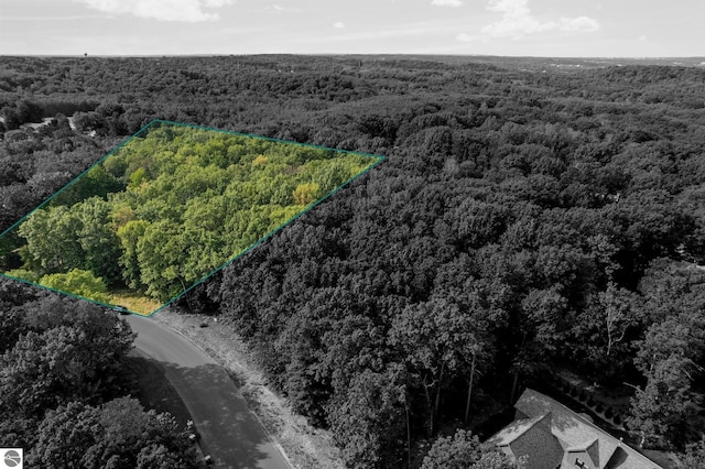 TBB3463 Autumn Leaf Dr, Traverse City, MI 49686 - drone / aerial view with a wooded view