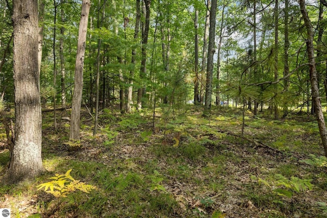 TBB3463 Autumn Leaf Dr, Traverse City, MI 49686 - view of landscape with a wooded view