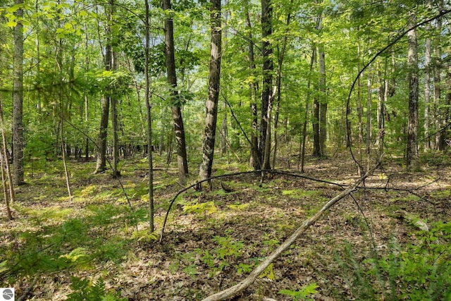 TBB3463 Autumn Leaf Dr, Traverse City, MI 49686 - view of nature with a view of trees