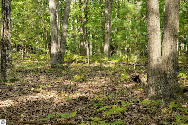 TBB3463 Autumn Leaf Dr, Traverse City, MI 49686 - view of landscape featuring a forest view