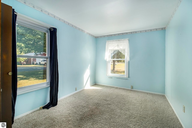 carpeted empty room featuring plenty of natural light