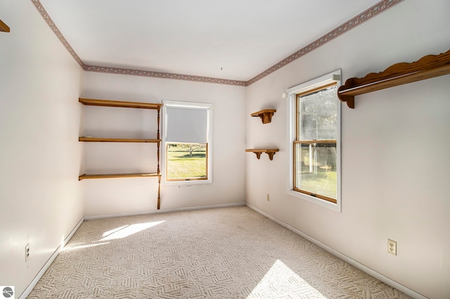 carpeted spare room featuring ornamental molding