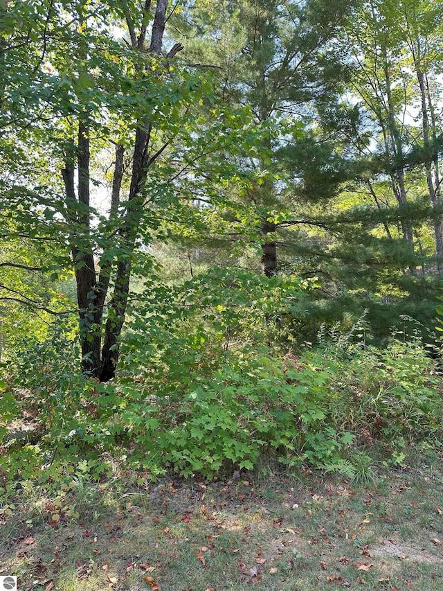 view of local wilderness featuring a forest view