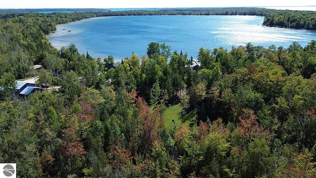 00 Birch Pointe Dr, Kewadin MI, 49648 land for sale