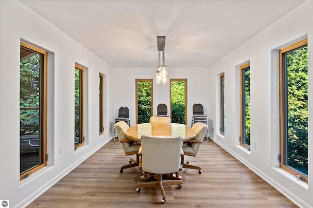 dining room featuring light hardwood / wood-style floors