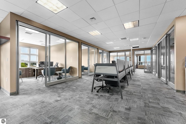 interior space featuring a paneled ceiling and carpet