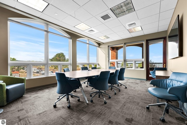 office featuring a paneled ceiling, carpet, and a healthy amount of sunlight