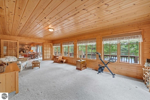 interior space featuring wooden ceiling, carpet, and wooden walls