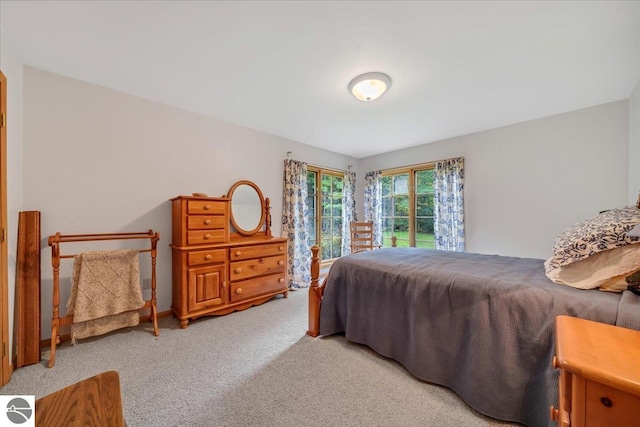 bedroom featuring carpet flooring