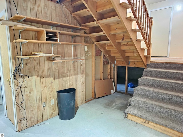 basement with wood walls