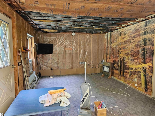 basement with dark carpet