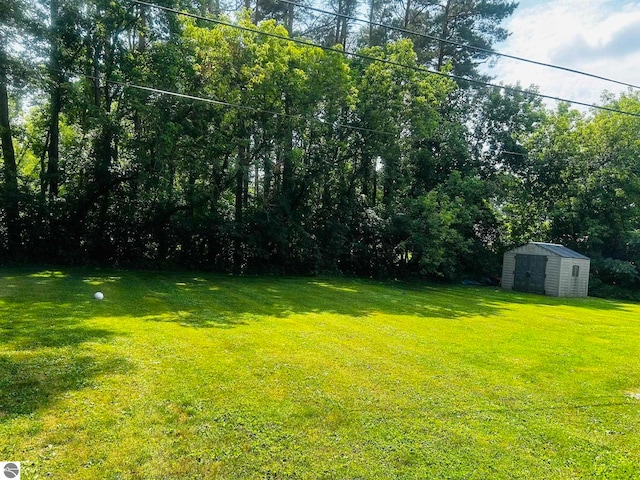 view of yard featuring a storage shed