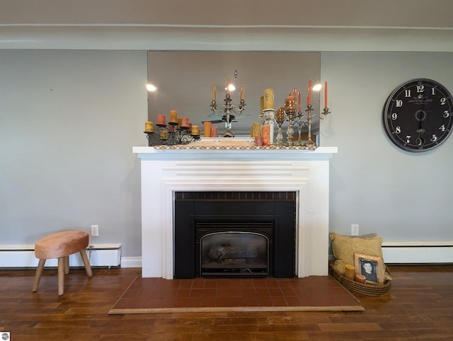 interior details with wood-type flooring and a baseboard radiator