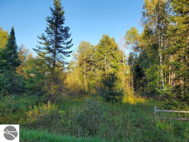 5753 River Valley Dr, Prescott MI, 49756 land for sale