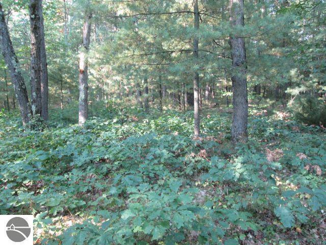LOT137 Tabor Ave, Interlochen MI, 49643 land for sale