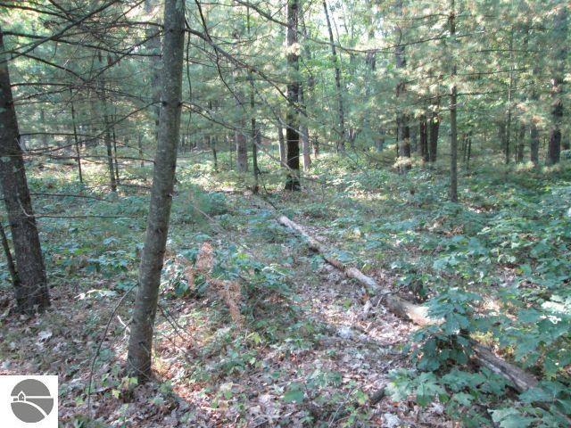 Listing photo 2 for LOT137 Tabor Ave, Interlochen MI 49643