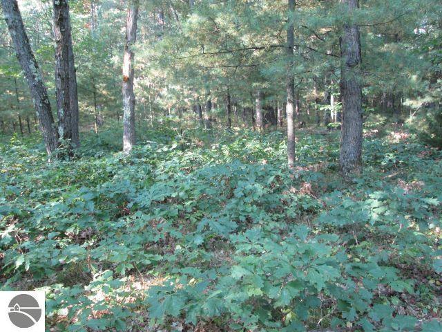 Listing photo 3 for LOT137 Tabor Ave, Interlochen MI 49643