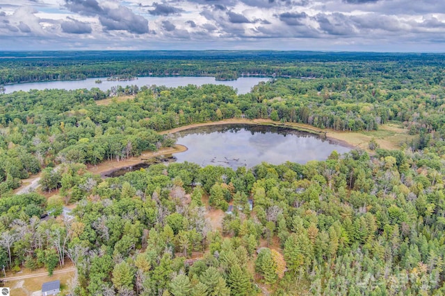 2169 Brady Dr, West Branch, MI 48661 - aerial overview of property's location featuring a heavily wooded area and a nearby body of water