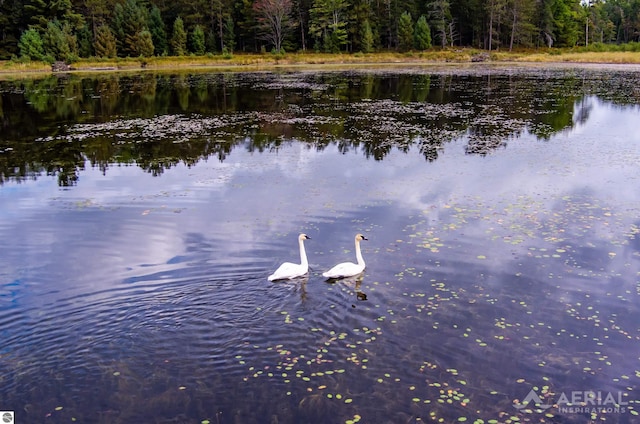 2169 Brady Dr, West Branch, MI 48661 - water view featuring a forest
