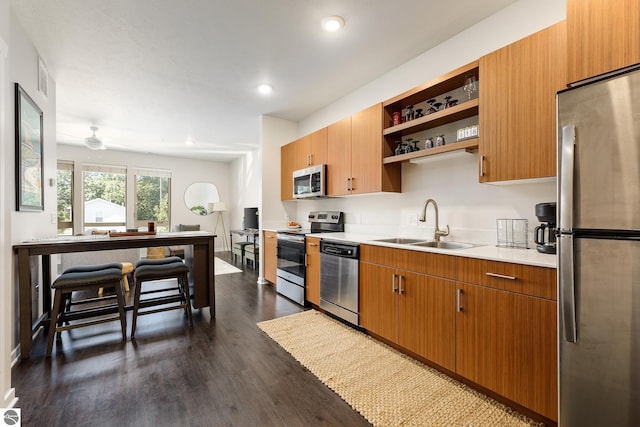 kitchen with ceiling fan, appliances with stainless steel finishes, dark wood-type flooring, and sink