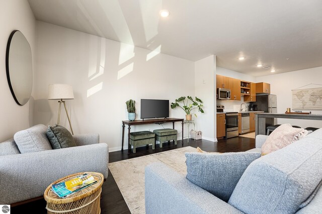 living room featuring dark hardwood / wood-style floors and sink