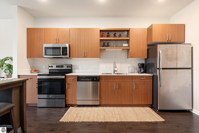 kitchen with dark hardwood / wood-style floors, sink, and stainless steel appliances