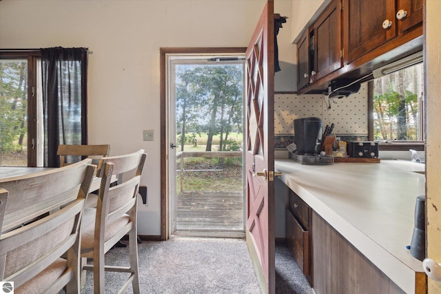 kitchen with a wealth of natural light, light colored carpet, and dark brown cabinetry