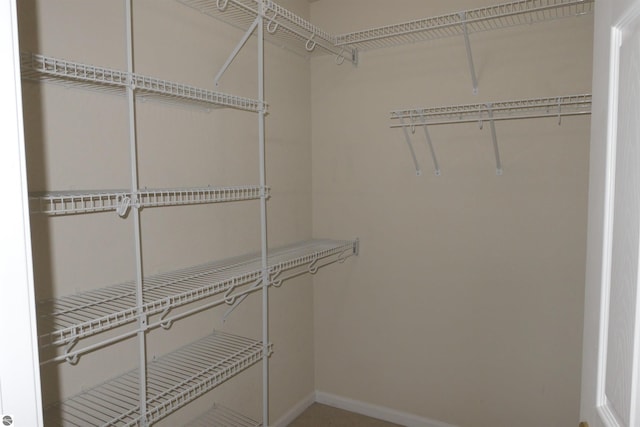 view of walk in closet