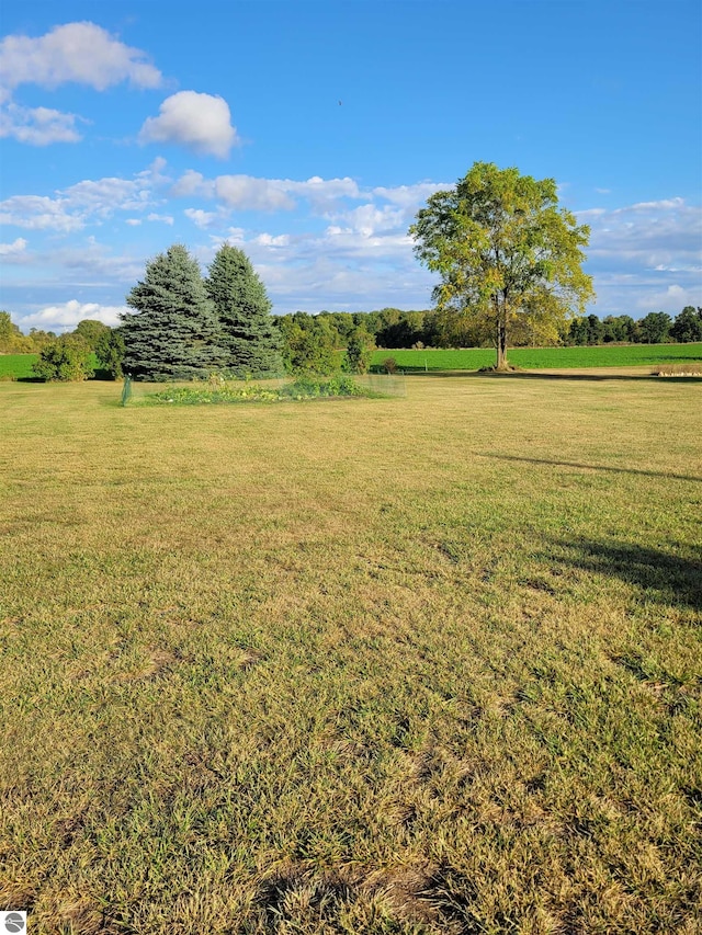 view of yard with a rural view