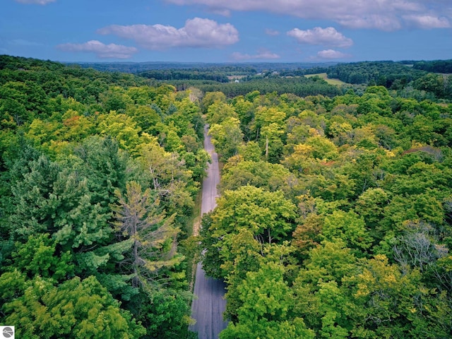 aerial view