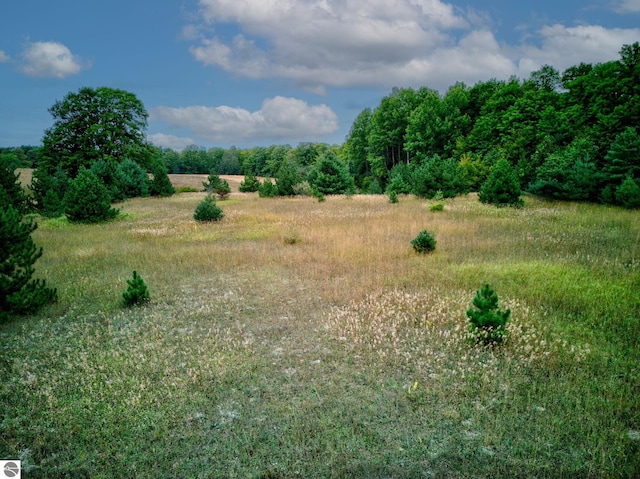 view of local wilderness with a rural view