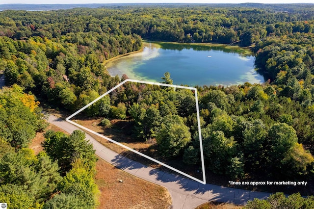 4900 Truax Lake Rd, Williamsburg MI, 49690 land for sale