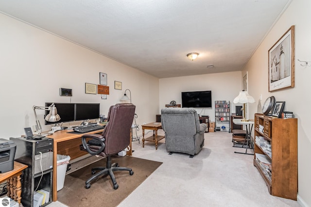 office featuring a textured ceiling and light colored carpet