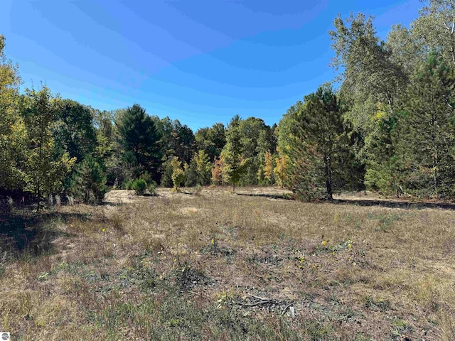 LOT280 Ottawa Trl, Buckley MI, 49620 land for sale